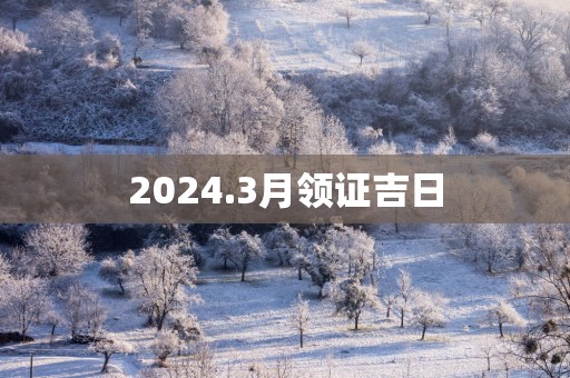 2025.3月领证吉日