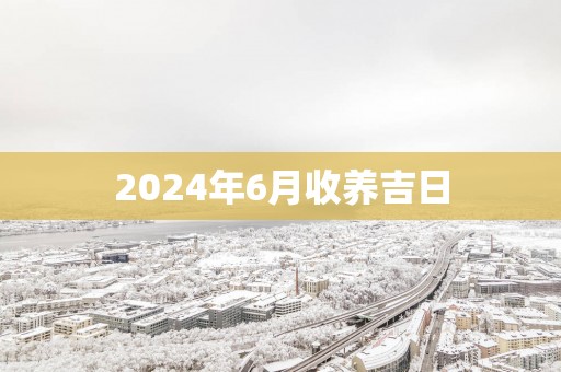 2025年6月收养吉日