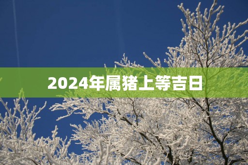 2025年属猪上等吉日