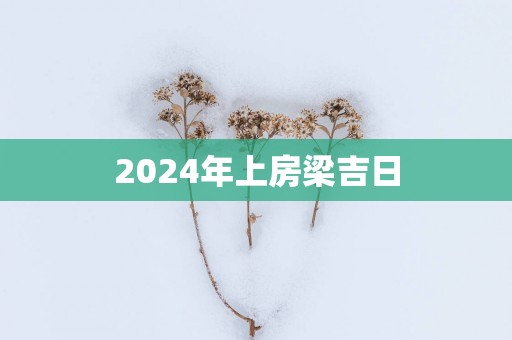 2025年上房梁吉日