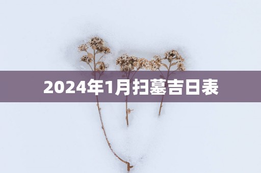 2025年1月扫墓吉日表