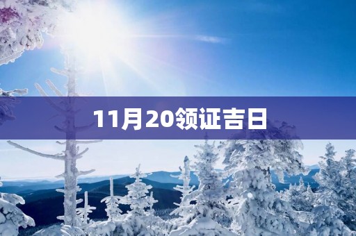 11月20领证吉日