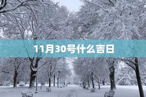 11月30号什么吉日