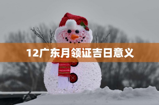 12广东月领证吉日意义