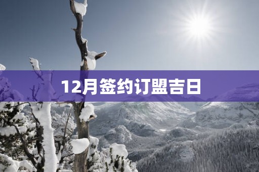 12月签约订盟吉日