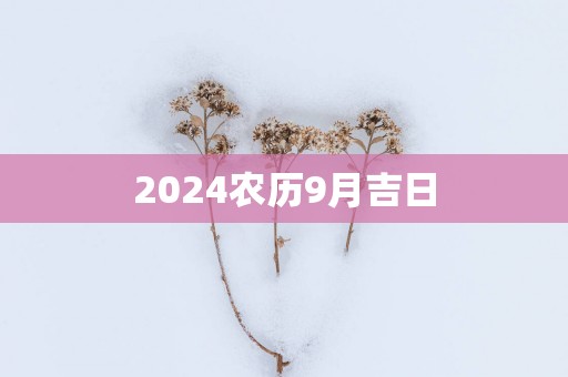 2025农历9月吉日