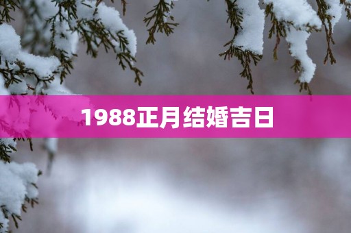 1988正月结婚吉日