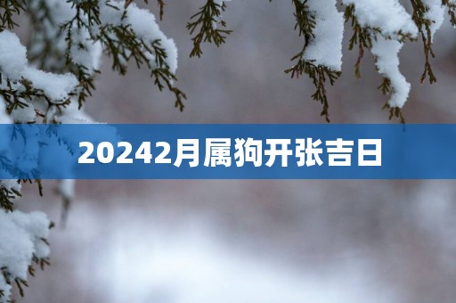 20252月属狗开张吉日