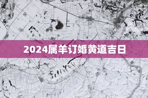 2025属羊订婚黄道吉日