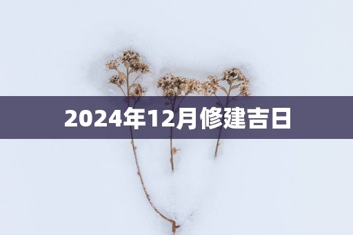 2025年12月修建吉日