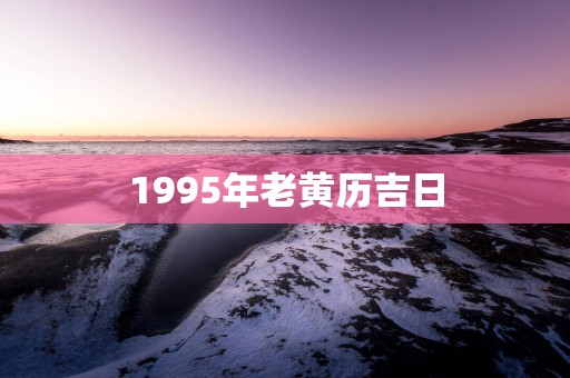 1995年老黄历吉日