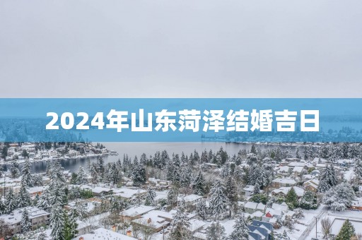 2025年山东菏泽结婚吉日