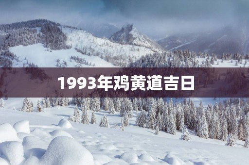 1993年鸡黄道吉日