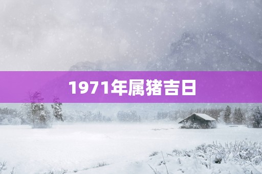 1971年属猪吉日