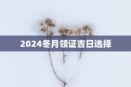 2025冬月领证吉日选择