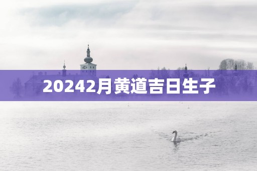 20252月黄道吉日生子