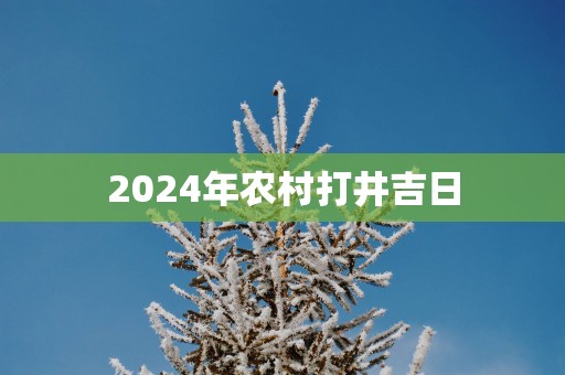 2025年农村打井吉日