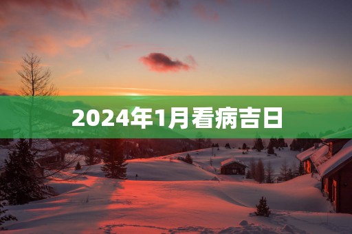 2025年1月看病吉日