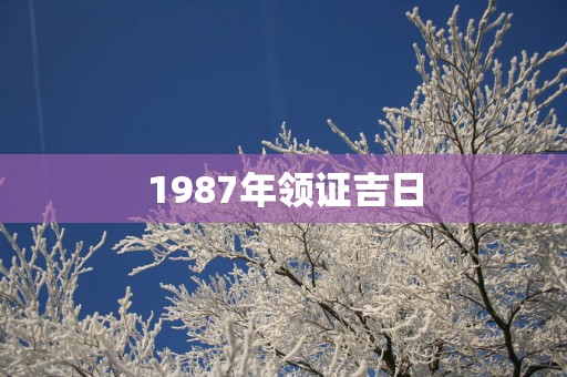 1987年领证吉日