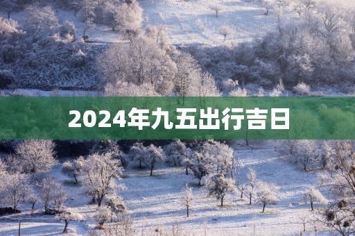2025年九五出行吉日