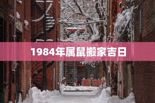 1984年属鼠搬家吉日
