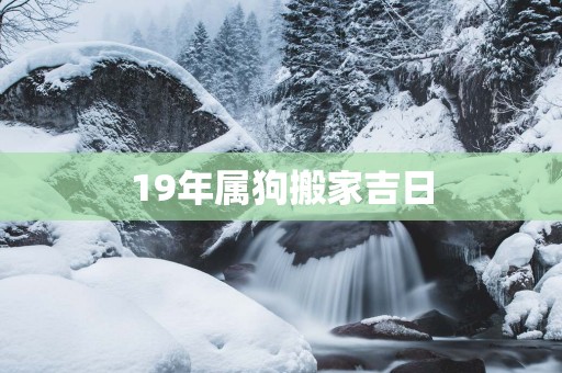 19年属狗搬家吉日