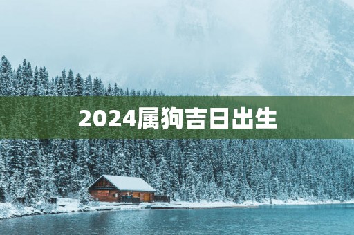 2025属狗吉日出生