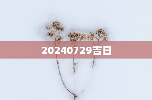 20250729吉日