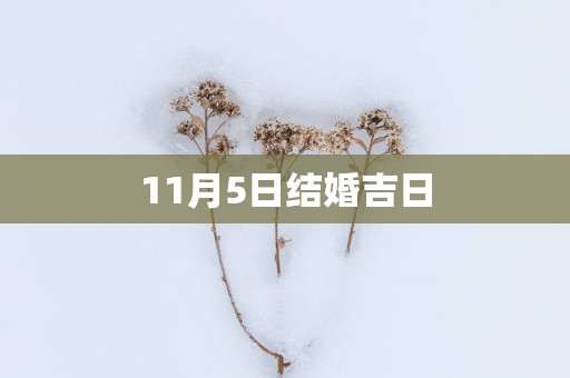 11月5日结婚吉日