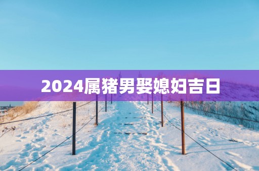 2025属猪男娶媳妇吉日