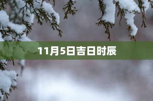 11月5日吉日时辰