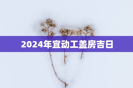 2025年宜动工盖房吉日