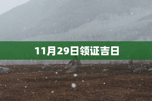 11月29日领证吉日