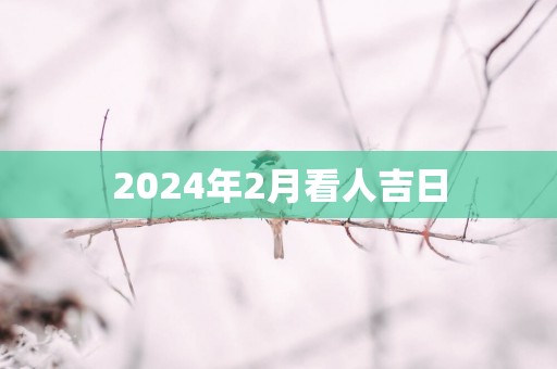 2025年2月看人吉日