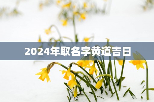 2025年取名字黄道吉日