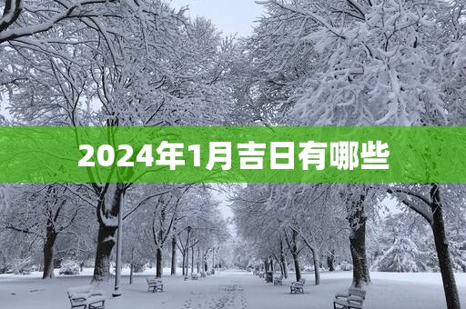 2025年1月吉日有哪些