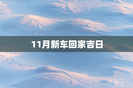 11月新车回家吉日