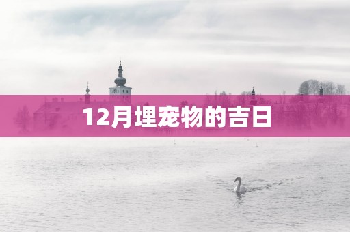 12月埋宠物的吉日