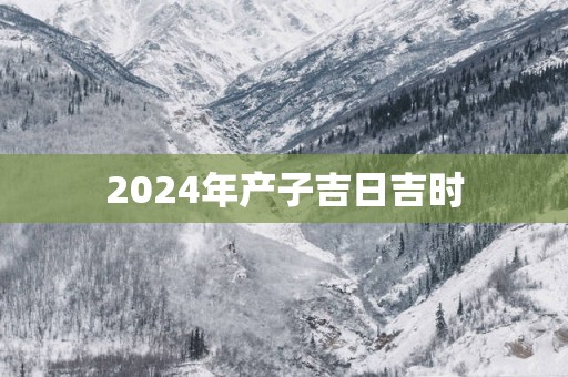 2025年产子吉日吉时