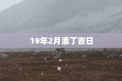 19年2月添丁吉日