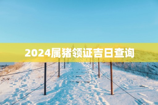 2025属猪领证吉日查询