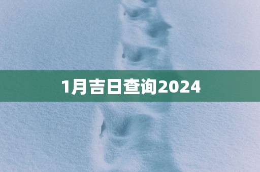 1月吉日查询2025