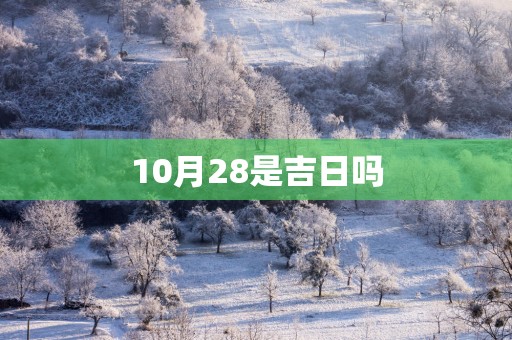 10月28是吉日吗