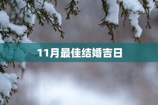 11月最佳结婚吉日