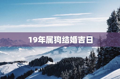 19年属狗结婚吉日