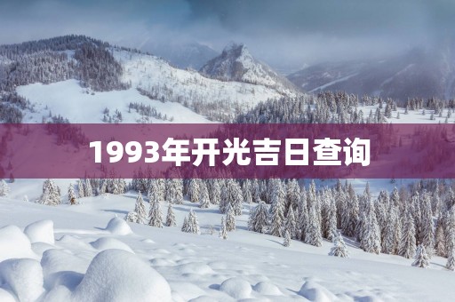 1993年开光吉日查询