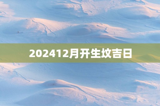 202512月开生坟吉日