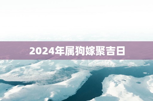 2025年属狗嫁聚吉日