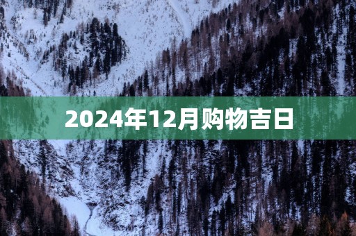 2025年12月购物吉日