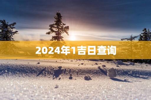 2025年1吉日查询